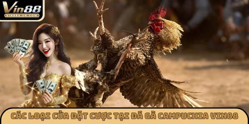 Các loại cửa đặt cược tại đá gà Campuchia VIN88