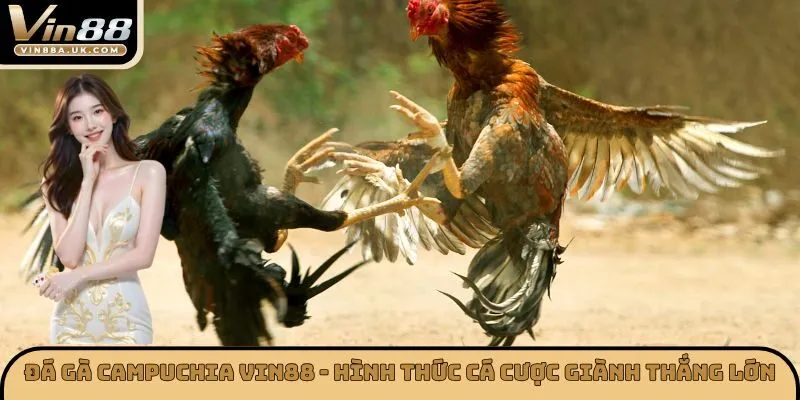 Đá Gà Campuchia
