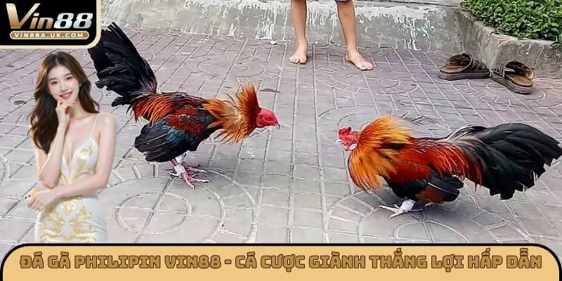 Đá Gà Philipin