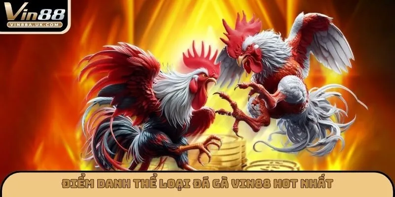 Điểm danh thể loại đá gà VIN88 hot nhất